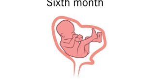 الشهر السادس من الحمل ومايحمله من تغيرات للأم والجنين